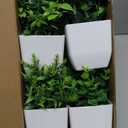 Der Rose 4 Pack Fake Plants Mini Artificial Greenery Potted Plants for Home Decor Indoor Office Table Room Farmhouse