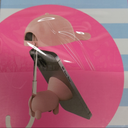 Cell Phone Ball Cap Shade Pack Of 5