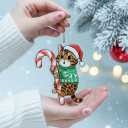 Bengal Cat Ornament | Hugging Candy Cane 2D Flat Acrylic Ornament - Cute Christmas Tree Decoration, Cat Lover Gifts 2025