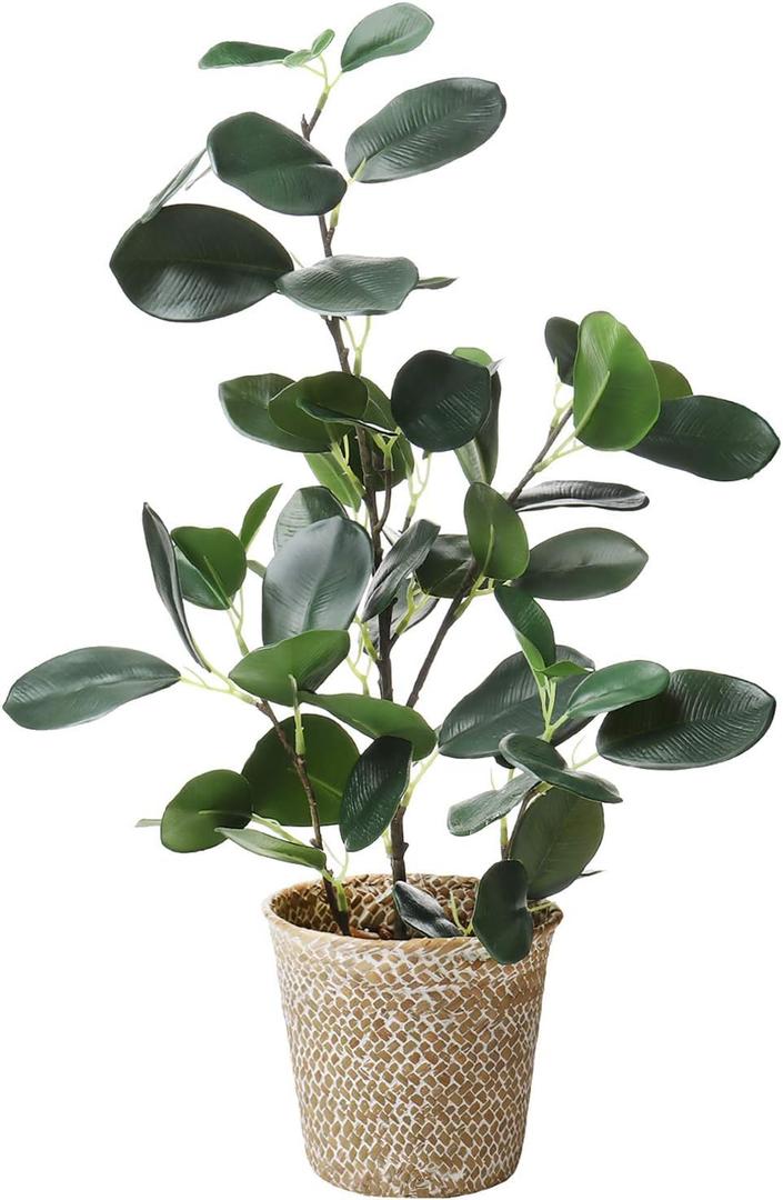 SAROSORA Artificial Ficus Tree Small Fake Plants in Weaved Pot 20" Height for Living Room Desktop Decor Indoor Home Office Ins Style (Green, 1)