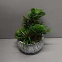 Villa Como 10 Large Succulents Plants Artificial in Ceramic Pots Potted Faux Succulent Arrangement with Black Bowl Pots Fake Desk Succulents Plants for Home Bathroom Shelf Table Indoor Decor