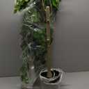 Bellacat Faux Black Olive Tree 7ft, Tall Faux Trees Indoor with Natural Trunk and Realistic Leaves. 7 Feet(84in) Artificial Tree for Home Office Décor.