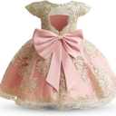 HNXDYY Baby Girl Tutu Dress Princess Lace Embroidery Wedding Party Gown (2-3T, #2006-c Pink)
