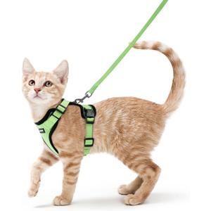 rabbitgoo Cat Harness and Leash for Walking, Escape Proof Soft Adjustable Vest Harnesses for Cats, Easy Control Breathable Reflective Strips Jacket, Light Green, XS