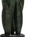 Artificial Plants Sansevieria Snake Plant with Black Ceramic Pot Desk Small Fake Plant for Indoor Living Room Kitchen Bathroom Farmhouse Home Decor