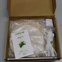 LORDEM Bamboo Grow Light, LED Plant Light for Indoor Plants Growing, Full Spectrum Bamboo Desk Growth Lamp with Automatic Timer for 4H/8H/12H, 4 Dimmable Levels, Height Adjustable