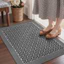 DEXI Entryway Door Mat Inside, Front Entrance Doormat Thin Low Profile, Non Slip Mats Absorbent for Home Entry Floor, 24x36, (Checkered Grey)