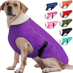 EMUST Dog Cold Weather Coats, Fleece Lining Small/Medium/Large Dog Jacket for Winter, Warm Waterproof Pet Winter Clothes for Large Dogs, Blue XL
