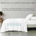 SlumberWell 4 Piece Sheet Set Queen Size, 100% Egyptian Cotton, 12 Inch Deep Pocket, Breathable Cooling & Super Soft Hotel Bed Sheets, White Solid