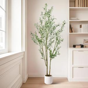 Olive Trees Artificial Indoor,Fake Olive Tree 6FT Tall 1Pack with White Planter Faux Silk Olive Tree for Home Living Room Office Decor Faux Artificial Plants Indoor with Fruit & Free Moss