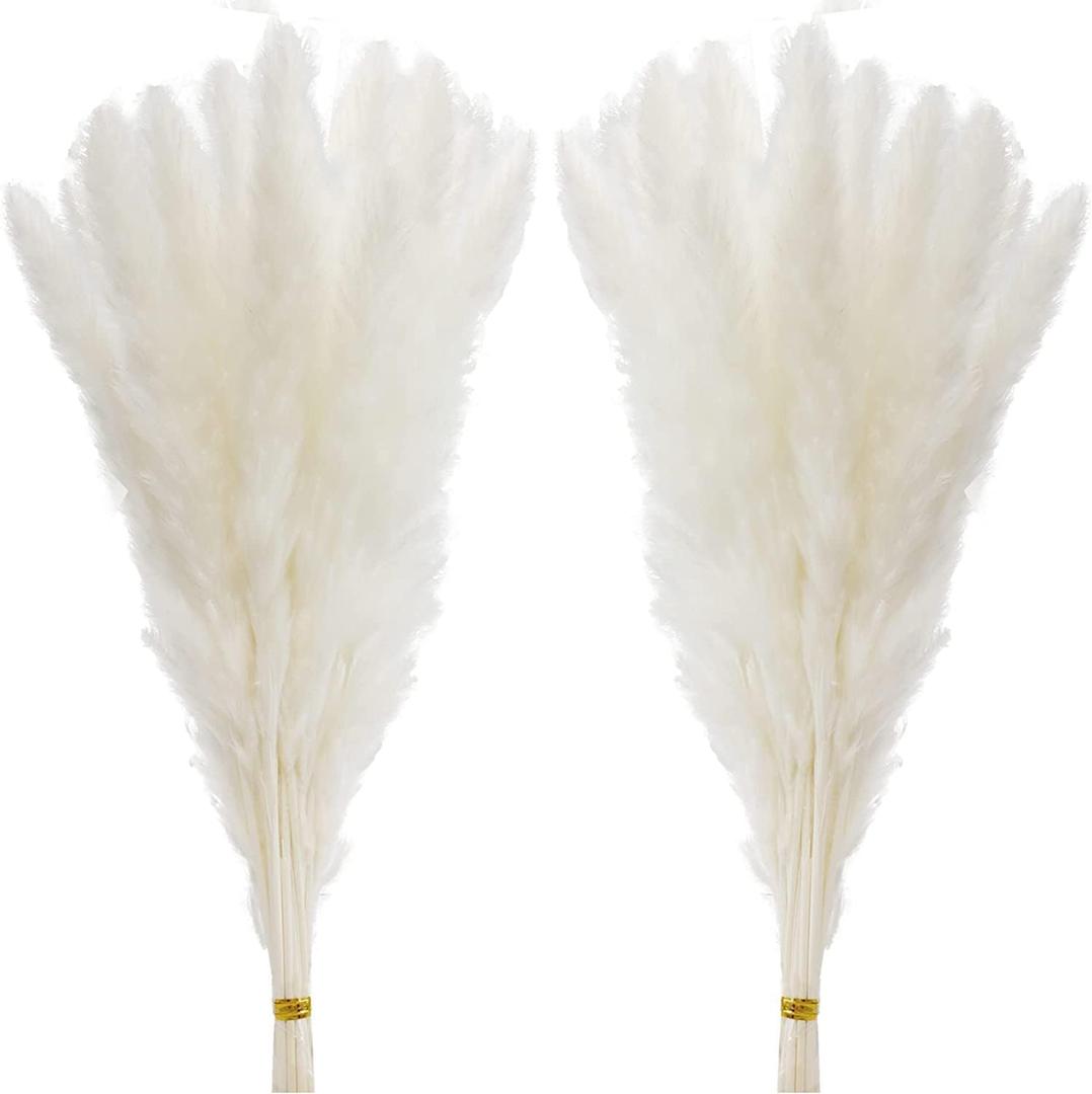 60 Pcs White Pampas Grass ,17 inch/45 cm Natural Dried Pampas Grass Branches Decor for Home Kitchen Garden Party Photographing Flower Arrangement Vase DecorWhite