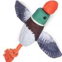EXPAWLORER Duck Dog Toy Launcher - Flying Fetch Toy for Dogs, Interactive Squeaky Bird Toys Slingshot Toss Thrower, Floats on Water Outdoor Fun for Small Medium Breeds, Not for Aggressive Pet