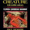 Reef Creature Identification - Florida Caribbean Bahamas - 3rd Edition (Reef Set (New World))
