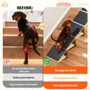 TNELTUEB 4 Pack Upgraded Dog Ramps for Stairs, Adjustable Stair ramp for Dogs,Portable Dog Stairs with Mat for Small Dogs and Cats, Non-Slip Pet Steps for Elderly or Injured Pets