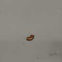 NIBCO EVERBILT 1/2" 90 DEGREE COPPER ELBOW - SOLDER CONNECTION - MPN C607