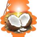Little Trees Car Freshner 10317 (Coconut)