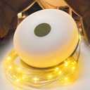 Camping Lights String Christmas: Outdoor String Light with 5 Lighting Modes - Quick 30s Recovery Durable and Waterproof - USB Charging - Portable Camping Lights for Yard/Hiking (32.8ft)