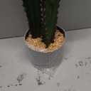 32.5”/82cm Tall Fake Cactus Plant Potted Large Cactus 'Euphorbia Accruensis Cactus' Big Cacti Plants Artificial Cactus for Home Garden Office Decor Housewarming Gifts Faux Cacti