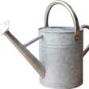 Metal Watering Can for Outdoor and Indoor Plants, Watering Can Decor, 1 Gallon (Zinc Stainless Steel Handle)