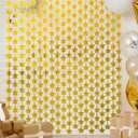 LOLStar 2 Pack Gold Stars Birthday Decorations, 3.3X6.6 ft Graduation 2026 Golden Party Backdrop Foil Fringe Curtains, Streamers Congrats Photo Booth Props for Birthday Celebration Awards Twinkle Star