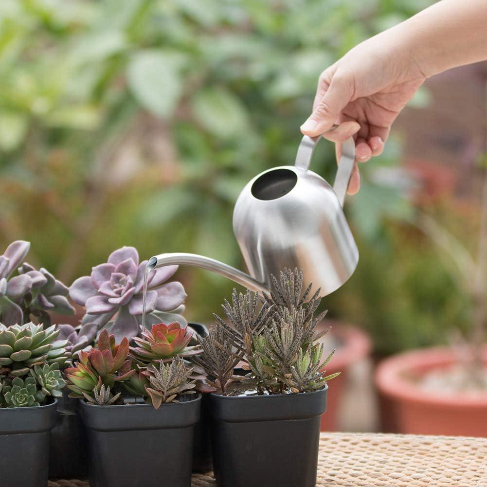 34 oz/ 1000 ml Copper Cute Watering Can Set for Indoor Plants - Indoor Watering Can with 18 oz/ 530 ml Mister Spray - Silver Stainless Steel Watering Can - Modern Metal Water Can