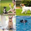 Nobleza Squeaky Tennis Balls for Dogs, 12 Pack 2.5" Floatable, Small Medium Dogs, Training, Natural Rubber, Rainbow