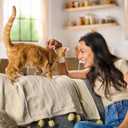 Meow Mix Hairball Control Dry Cat Food for Adult Cat, 6.3 lb. Bag, BBD: AUG 10/2027