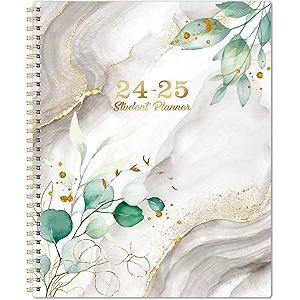 Academic 2024-2025 School Planner - Jul 2024 - Jun 2025, 9" 11" - Weekly Lessons, Strong Twin-Wire Binding, 12 Monthly Tabs