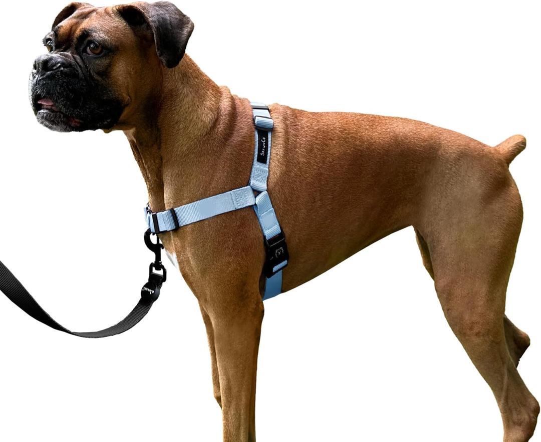 ShawnCo Dream Walk No-Pull Dog Harness- Adjustable, Comfortable, Easy to Use Pet Halter to Help Stop Pulling for Small, Medium and Large Dogs (Moonglow, L)