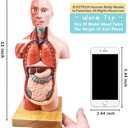 EVOTECH SCIENTIFIC Human Body, Skeleton, Heart, Half Size Skull with Brain Models-Best Anatomy Model Bundle Set of 4 Hands-on 3D Model Study Tools for Medical Student Teacher