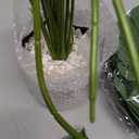 Der Rose 28" Fake Plants Large Artificial Monstera Faux Potted Plants Indoor Tall in Black Pots for Outdoor Floor Front Porch Decor