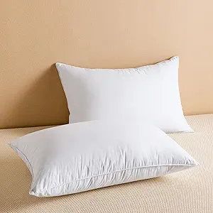  Pillows Queen Size Set of 2, Luxury Soft Feather Pillows for Sleeping, Smooth Down-Proof Fabric, Hotel Collection Bed Pillows Surround Fill Polyester (White, 18"x28")