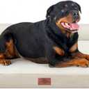 Comfort Expression Orthopedic Dog Bed for Extra Large Dogs 48x30 Inch, Waterproof Egg Crate Foam XXL Pet Bed with Removable Bolsters, Dog Couch with Washable Cover & Non-Slip Bottom, Beige