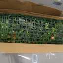 48x120 in (40 Sqft) Artificial Boxwood Grass Wall Hedge Roll