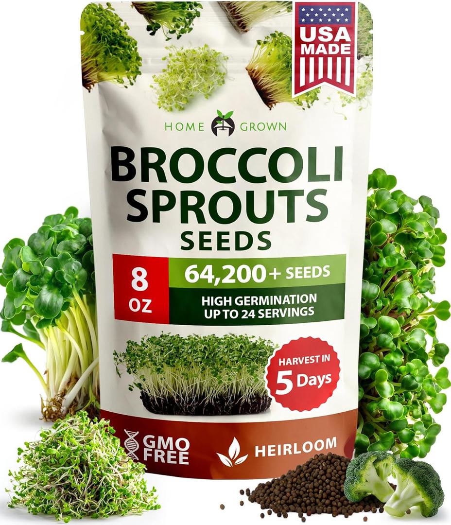 HOME GROWN Broccoli Seeds 8 oz - for Sprouting or Microgreens High Germination Sprout Seeds Nutritious Micro Greens - Broccoli Sprouts in 5 Days - Sulforaphane Rich