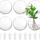 Yarlung 6 Pack Wall Hanging Planters Terrarium, 4.7 Inch Glass Oblate Globe Plants Containers, Wall Mount Clear Flower Vase for Propagating Hydroponics Plants, Air Plants (Plants Not Included)