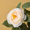 SUQ I OME 1 Pack of Artificial Rose Vine Flowers Plants Fake Flower Vine for Wedding Home Garden Craft Art Decor Valentine's Day Mother's Day Party Decoration,Champagne