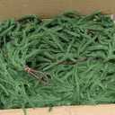 9FT 4PCS Christmas Garland Norfolk Pine Garland Real Touch Artificial Greenery Garland for Mantle Fireplace Table Indoor Outdoor Holiday Decortions