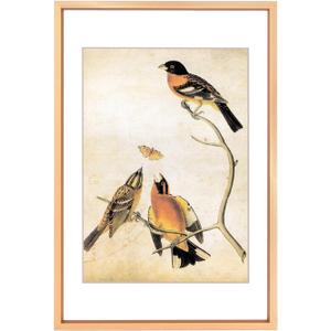 6x9 Picture Frame, Gold Aluminum Metal Photo Frames with HD Glass, Fits 5x7 with Mat or 6 x 9 without Mat, Display for Wall and Table