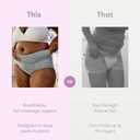 Frida Mom Postpartum Underwear for C-Section Recovery, Disposable High Waist with Stretch Support, Regular