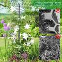 Trellis for Climbing Plants Outdoor, 73inch Tall Plants Trellis Support Metal Garden Trellis for Vegetables Flowers Plants Vine Support (1 pcs, Black)