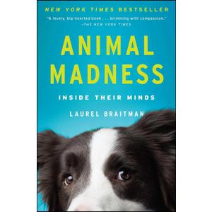 Animal Madness: Inside Their Minds