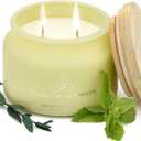 Healing | 2-Wick Scented Candles for Home | Natural Non Toxic Soy Candles with Essential Oils | Eucalyptus & Peppermint | 50 Hour Long Burning | Aromatherapy Candle Jar with Lid - 9.5 oz