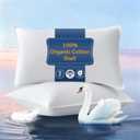 Goose Feather Pillows Queen Size Set of 2 - Hotel Collection Bed Pillows for Sleeping 2 Pack, 700 TC Organic Cotton Shell, Soft Support for Back, Stomach or Side Sleepers, Queen/Full, 18"x30"