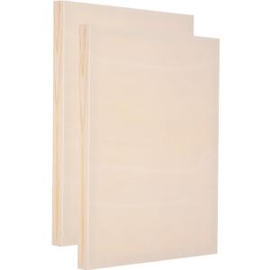 PATIKIL 12 x 10 Inch Wood Panel Board, 2 Pack Unfinished Wooden Canvas Boards Square Blank Deep Cradle Board for Painting Pouring DIY Art Use with Oils Acrylics