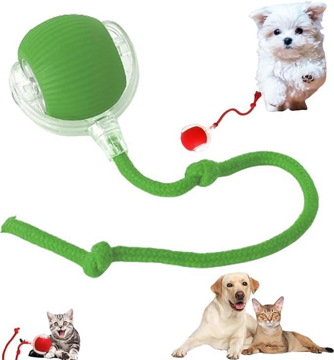 2024 New Electric Dog Ball Toy for Cat,360 Smart Automatic Interactive Rolling Dog Smart Pet Toy Ball,Gift for Kids (green)