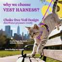 rabbitgoo Escape Proof Cat Harness and Leash Set, M, Purple & Yellow | 4-point Adjustable, Quick-snap Buckles, Soft Breathable Mesh, Reflective Strips, Sturdy Clip, for Medium to Large Cats
