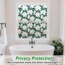SOMWISE Frosted Glass Window Privacy Film with Tools, Heat Blocking, Anti-UV, Anti-Glare, Static Cling, Decor for Home Bathroom Door, Renter Friendly, Removable, Reusable, Green 17.5Inchx157Inch