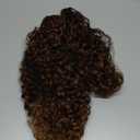 Curly Wig with Bangs for Women FLUFYMOOZ Natural Light Brown Long Curly Wig 21Inch Curls with Wispy Bangs Heat Resist Soft Synthetic Wig for Women Daily Use Party Halloween Cosplay