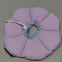 Cat Cone Collar,Cute Waterproof Cat Recovery Collar,Anti-Bite Lick Wound Healing Safety Elizabethan e Collar for Cats,Purple Flower All-Season Style…